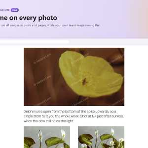 Image disable-right-click-5